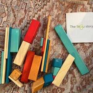 Set of 24 Tegu Blocks